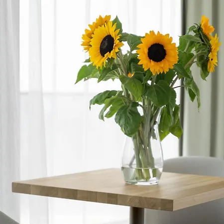 Appartement Your Holidays Waves B862