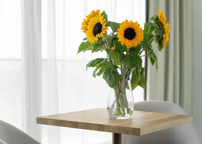 Lägenhet Your Holidays Wave B862